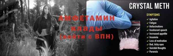 молекула духа Арсеньев