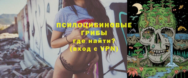 молекула духа Арсеньев