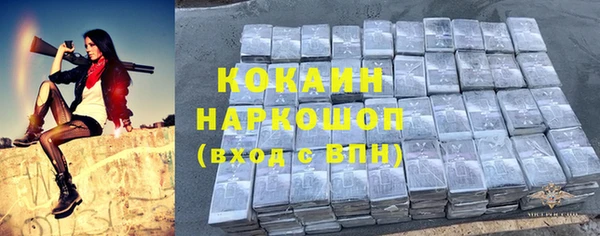 молекула духа Арсеньев