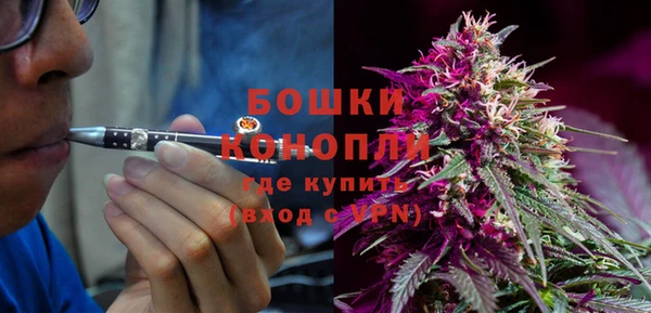 молекула духа Арсеньев