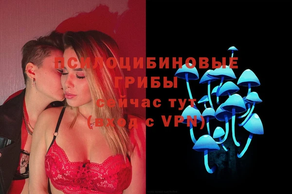 молекула духа Арсеньев