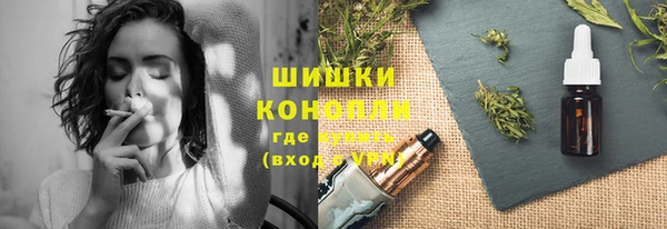 молекула духа Арсеньев