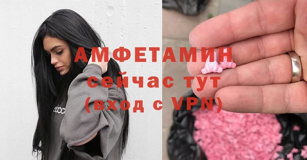 молекула духа Арсеньев
