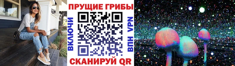 Псилоцибиновые грибы ЛСД МЕГА зеркало Ликино-Дулёво